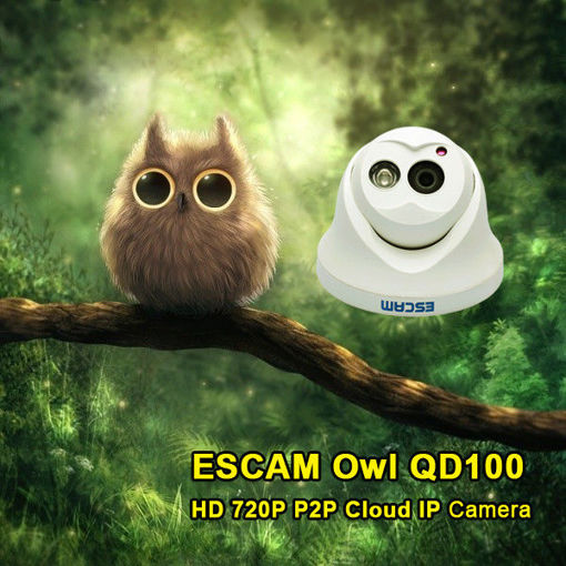 Immagine di Escam QD100 720P IP Camera Network IR-Cut P2P IR Night Vision Motion Detection Support Onvif Camera