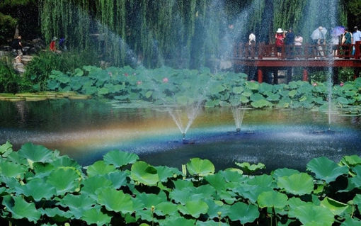 Immagine di 7V Solar Power Floating Brushless Water Pump Garden Landscape Submersible Fountain