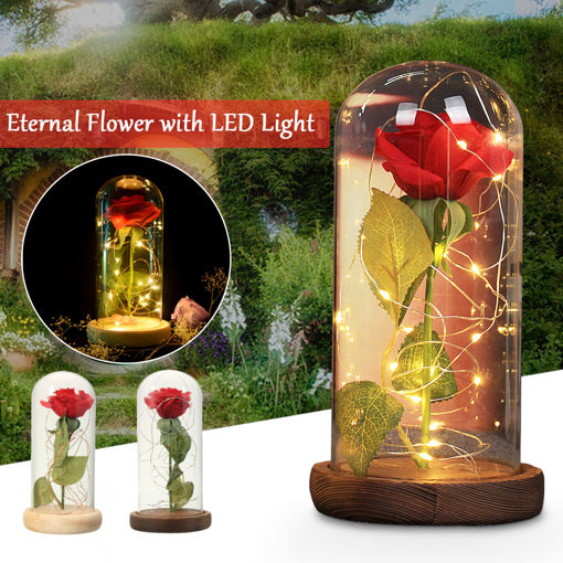 Picture of Red Rose Lights Decorations Beauty Enchanted Preserved Red Fresh Rose Glass Cover with LED Light