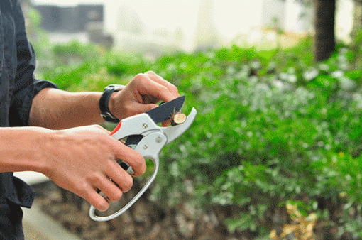 Immagine di 30mm Gardening Sectional Pruning Shears Scissors Branch Cut Trimmer
